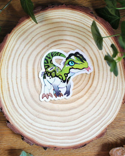 🏳️‍🌈Paleo Pride🏳️‍⚧️ Aromantic Pack | Holographic Sticker Bundle